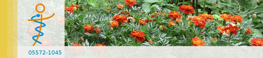 Zufallsbilder - Praxisgarten