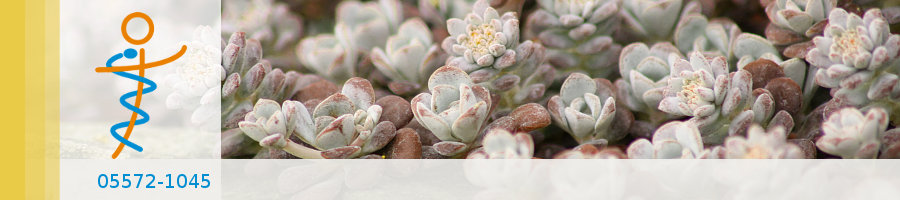 Zufallsbilder - Praxisgarten