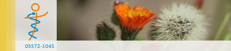 Zufallsbilder - Praxisgarten