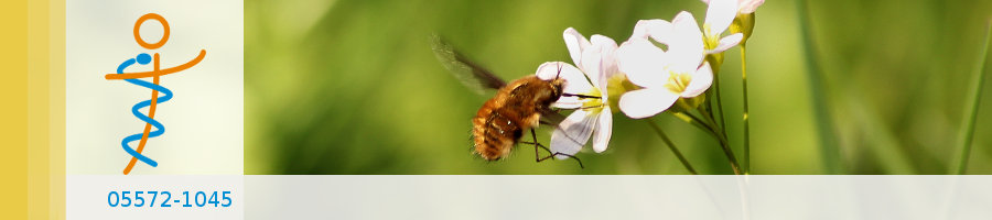 Zufallsbilder - Praxisgarten