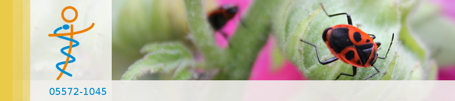 Zufallsbilder - Praxisgarten