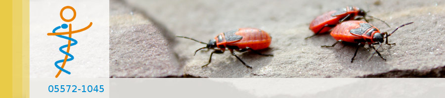 Zufallsbilder - Praxisgarten