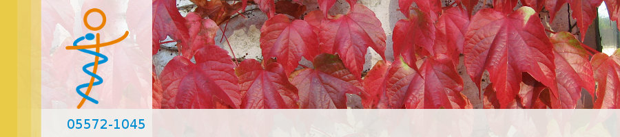 Zufallsbilder - Praxisgarten