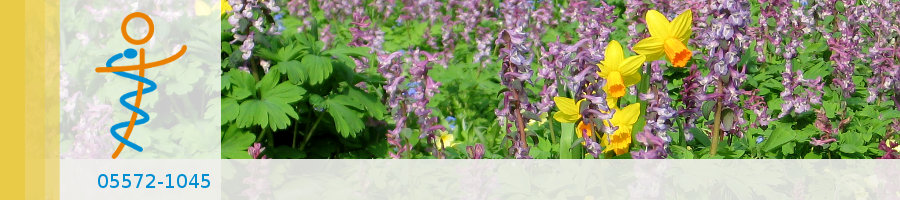 Zufallsbilder - Praxisgarten