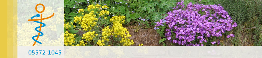 Zufallsbilder - Praxisgarten