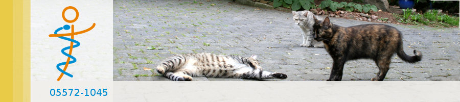 Zufallsbilder - Praxisgarten