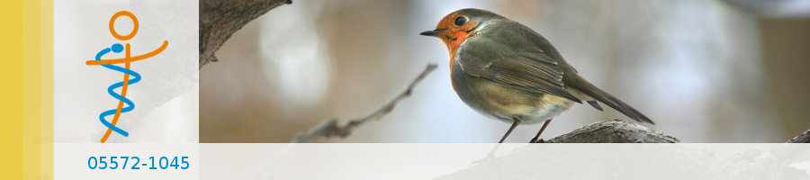 Zufallsbilder - Praxisgarten