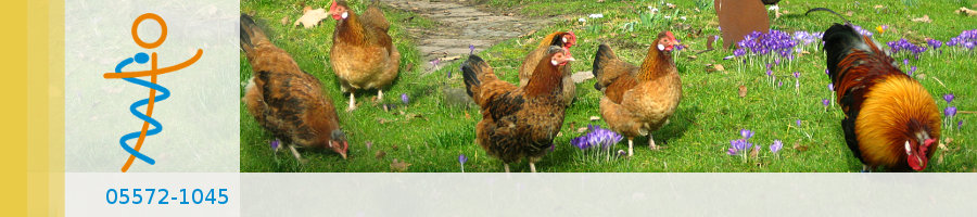 Praxisgarten Dr. Thiemann - Bodenfelde Zufallsbilder - Praxisgarten