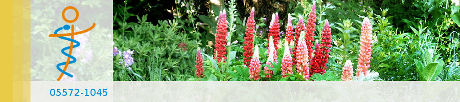 Zufallsbilder - Praxisgarten