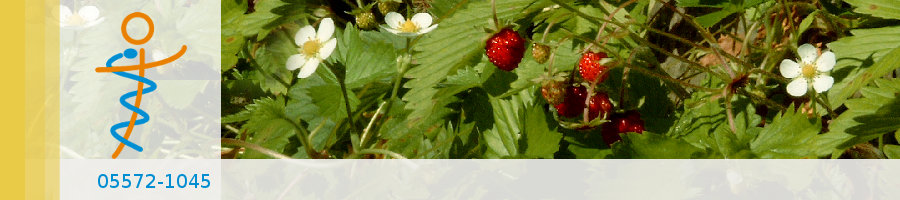 Praxisgarten Dr. Thiemann - Bodenfelde Zufallsbilder - Praxisgarten