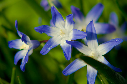 Landarztpraxis Dr. Ulrich Thiemann - Praxisgarten