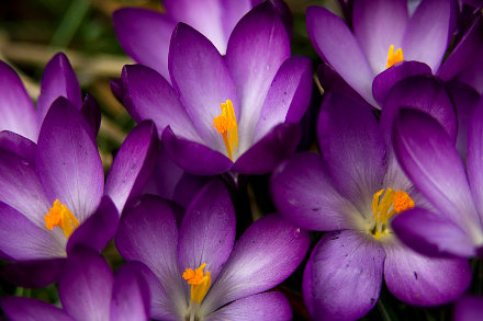 Landarztpraxis Dr. Ulrich Thiemann - Praxisgarten