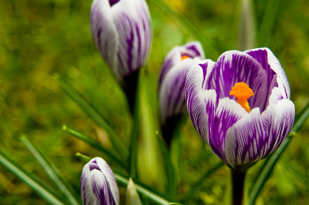 Landarztpraxis Dr. Ulrich Thiemann - Praxisgarten