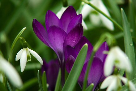 Landarztpraxis Dr. Ulrich Thiemann - Praxisgarten