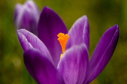 Landarztpraxis Dr. Ulrich Thiemann - Praxisgarten