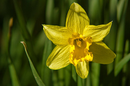 Landarztpraxis Dr. Ulrich Thiemann - Praxisgarten