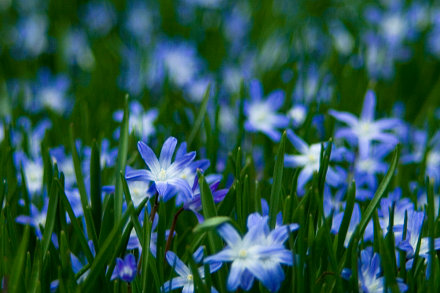 Landarztpraxis Dr. Ulrich Thiemann - Praxisgarten