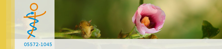 Zufallsbilder - Praxisgarten